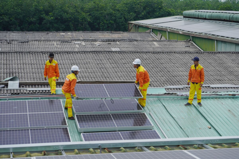 Grace Renewable Energy Limited
