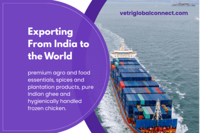 Vetri Global Connect